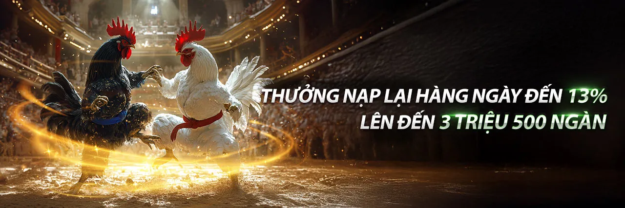 Đá gà ga368 trực tuyến sôi động